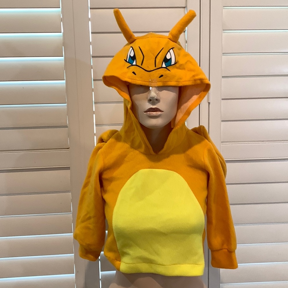 Pokémon charizard costume